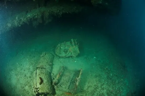 Tauchen mit Foka in den Gewässern vor der Insel Pag, Foto 10