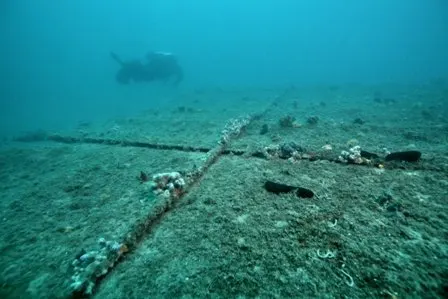 Tauchen mit Foka in den Gewässern vor der Insel Pag, Foto 12