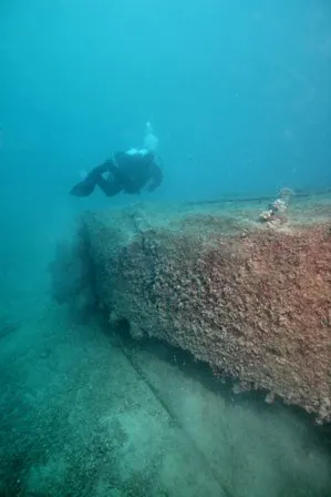 Tauchen mit Foka in den Gewässern vor der Insel Pag, Foto 13