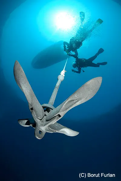 Tauchen mit Foka in den Gewässern vor der Insel Pag, Foto 15
