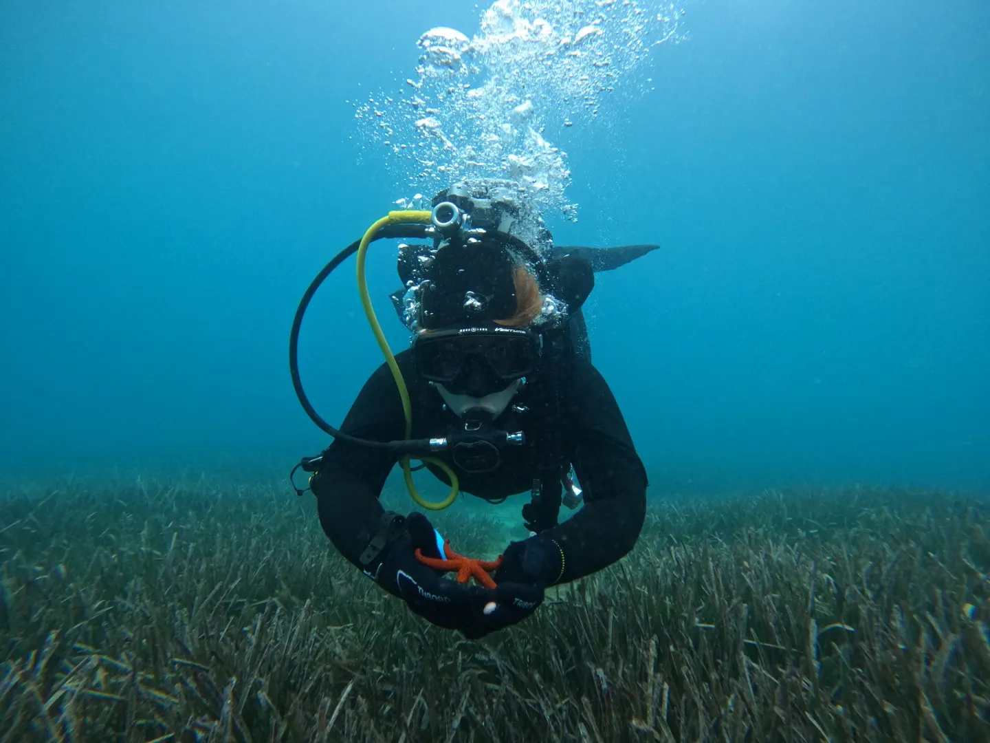 Ekipa Foka Diving Centra na otoku Pagu, fotografija 9